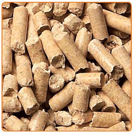 pellet, pylety, pylet, pelet